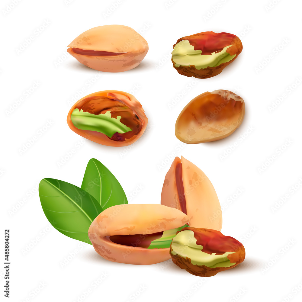 Poster realistic detailed 3d different pistachios set nutshell and kernel. vector illustration of ripe pist