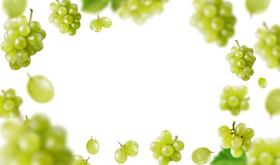 Background with grapes and leaves. Green grapes in fly on green background. Realistic vector illustration.