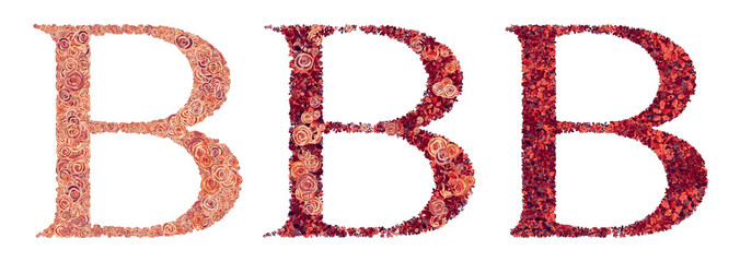 Watercolor letter B like rose bush with white background. 
Three type B letters - the first letter is from petals then the second letter is from petals and leaves and the third letter is from leaves.