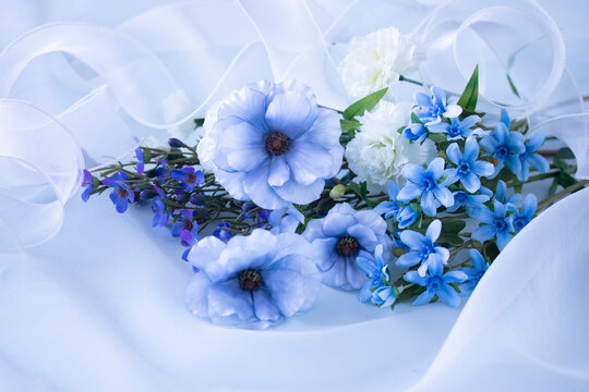 オーガンジー Images Browse 1 355 Stock Photos Vectors And Video Adobe Stock