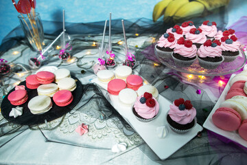 Sweets candy bar, cupcakes cakes on table