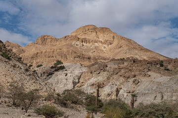 View of Mount Yishai, towering 190 m above Nahal David canyon entrance, Ein Gedi National Park and Nature Reserve, Dead Sea, Judean Desert, Israel	 - obrazy, fototapety, plakaty