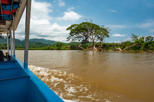 Tarcoles River, Carara National Park, Puntarenas Province, Costa Rica