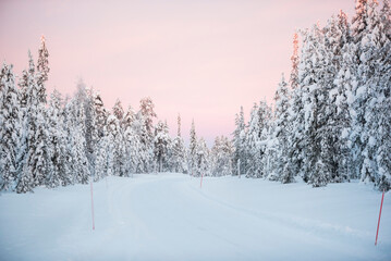Snow covered road through a forest in winter in the Arctic Circle on a road trip in Lapland, Finland