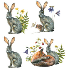 Watercolor set with illustration of cute animals gray bunny, fox, mouse surrounded by forest flowers and berries.