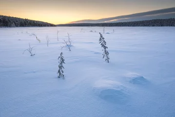 Foto auf Alu-Dibond Cold snow covered icy winter landscape at sunset inside the Arctic Circle in Lapland in Finland © Matthew
