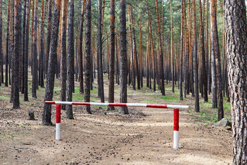 Fototapeta na wymiar wooden barrier installed on a country road