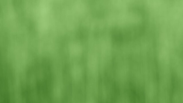 Green natural abstract 4k stock video background. Blurry defocused texture of fresh green plants isolated. Organic wall unusual textured background
