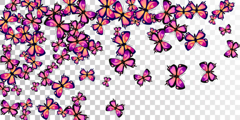 Tropical purple butterflies abstract vector background. Spring colorful moths. Wild butterflies abstract dreamy wallpaper. Tender wings insects patten. Garden creatures.