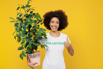 Young woman of African American ethnicity inwhite volunteer t-shirt hold home plant tree show thumb...