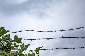 desolate fence with barbed wire
