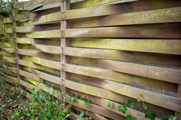 wooden old desolate fence