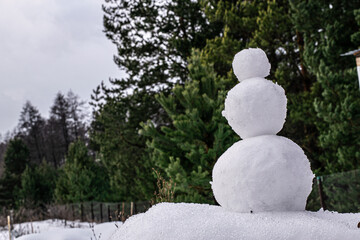 snowman on the background of the forest