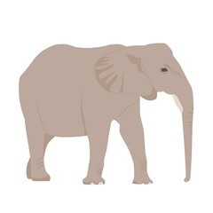 Fototapeta premium Abstract modern illustration african elephant (Loxodonta) from side, Trendy artistic vector design isolated on white background