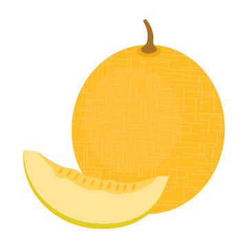 Melon whole fruit and slice isolated on white background. Yellow muskmelon, cantaloupe or canary melon fruit icon for package design. Healthy food concept. Vector illustration of tropical fruits.