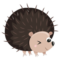 Cartoon Hedgehog