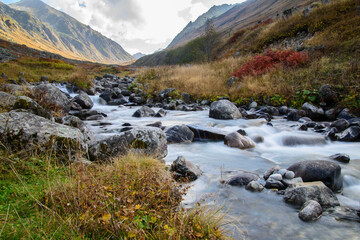 Чувства ,эмоции, жизнь