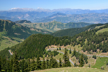 Чувства ,эмоции, жизнь