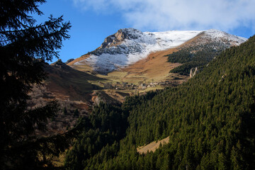 Чувства ,эмоции, жизнь