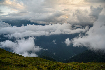 Чувства ,эмоции, жизнь
