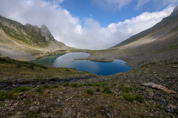 Чувства ,эмоции, жизнь