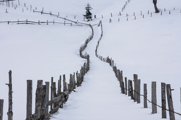 Чувства ,эмоции, жизнь