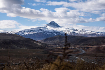 Чувства ,эмоции, жизнь