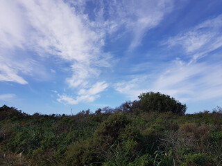 Obraz premium Paesaggio