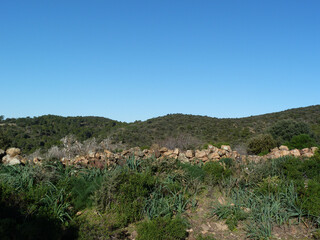 Paesaggio