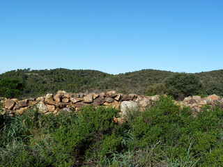 Paesaggio