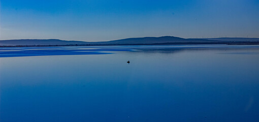 la photographie c'est un art à vivre