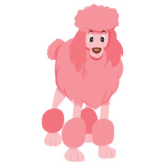 Pink Poodle Dog
