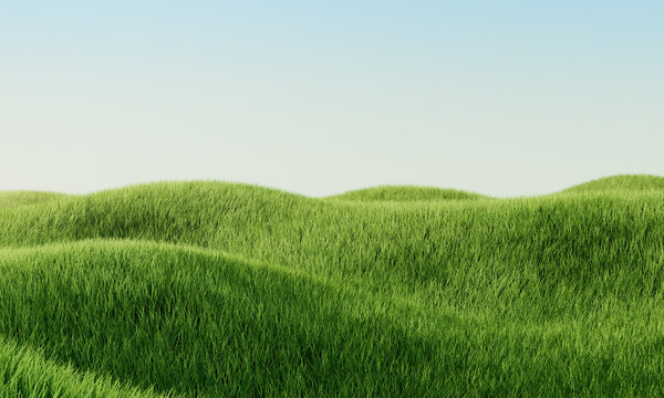 Green grass field. Summer landscape scene mockup. 3d illustration
