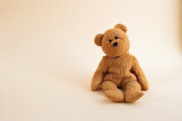 Obraz premium brown teddy bear