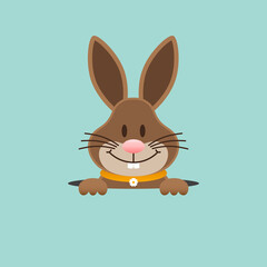 Osterhase Im Loch Türkis