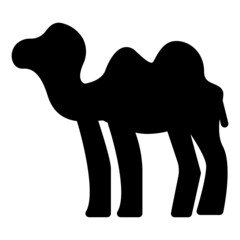 Animal camel icon vector	