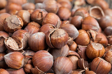 hazelnuts peeled from the shell