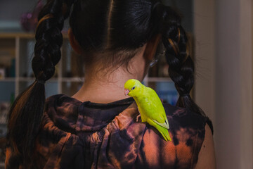 forpus parrot standing on girl body