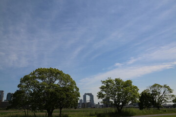公園とビル