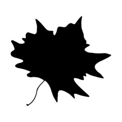 Black silhouettes of autumn leaves maple. Fall nature tree leaves. Isolated white background