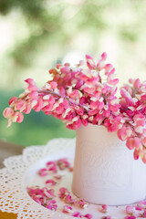pink flowers in vase