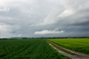 impending squall with rain, impending hurricane, impending rain, approaching storm, Prairie Storm, the storm is coming, approaching storm, thunderstorm, tornado, mesocyclone, climate, Shelf cloud