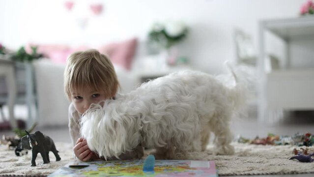 Cute blond preschool child, blond boy with pet maltese dog, reading book at home on the floor