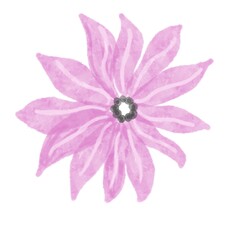 pink watercolor flower.  plant bud romance