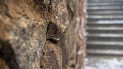 Old stone wall in winter weather. In the background staircase. Moody concepts. Textured and background. Selective focus.