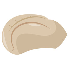 Cartoon Chinese Dumpling
