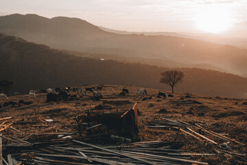 Sunrise In The Montain