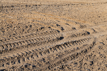 agricultural field with traces of cars