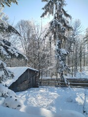 śnieżny krajobraz 2