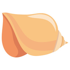 Cartoon Seashell